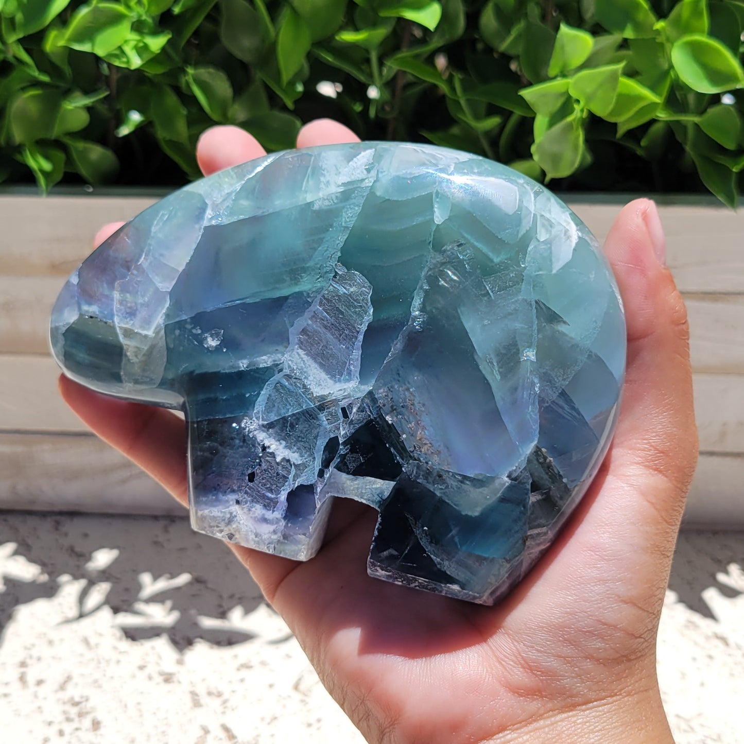 Fluorite Bear