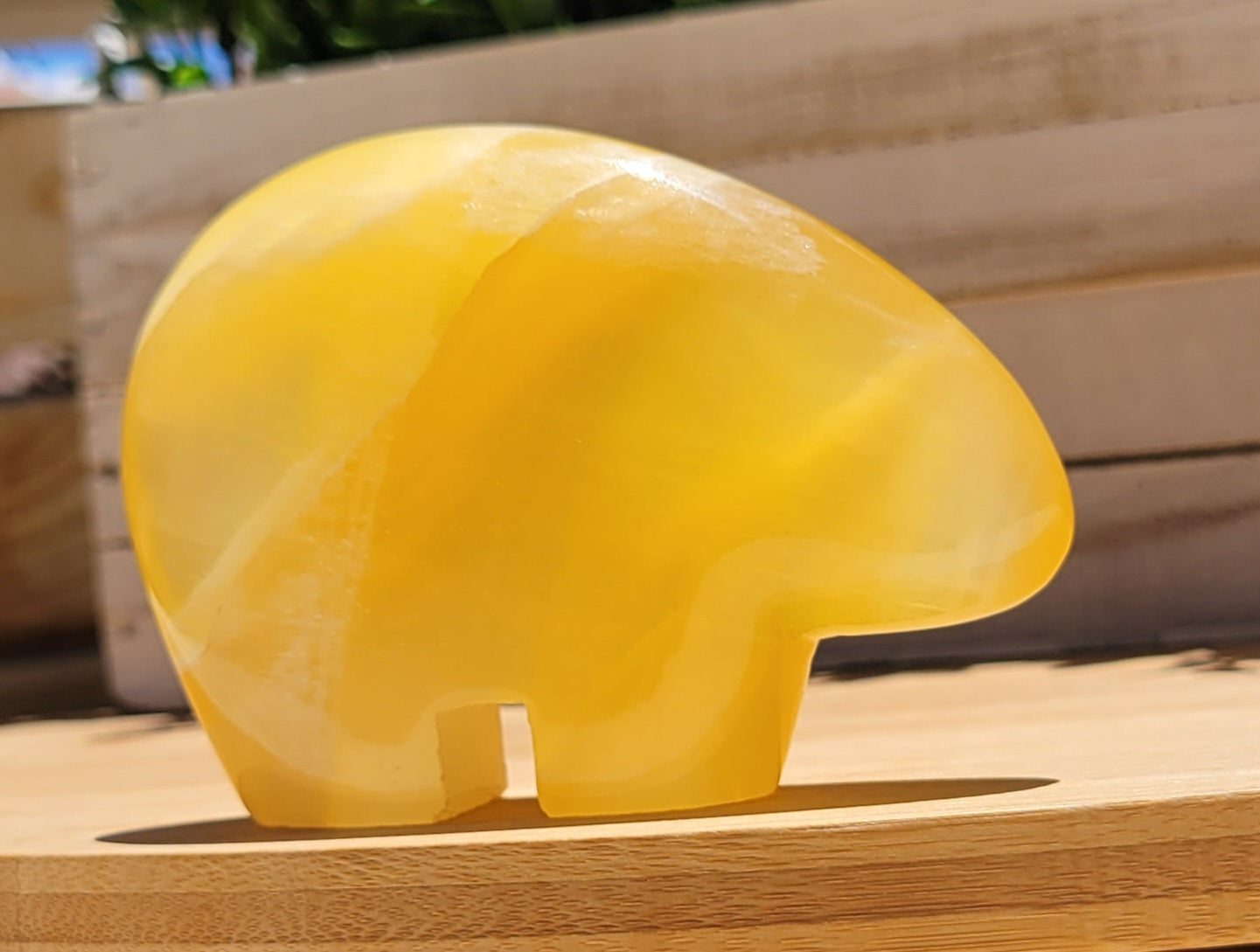 Honeycomb Calcite Bear