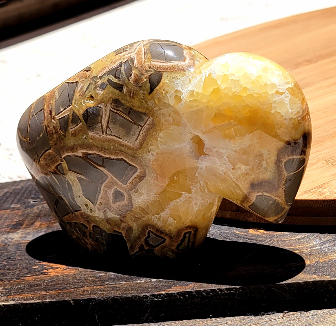 Septarian Buffalo