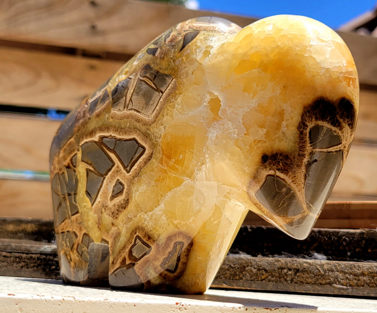 Septarian Buffalo