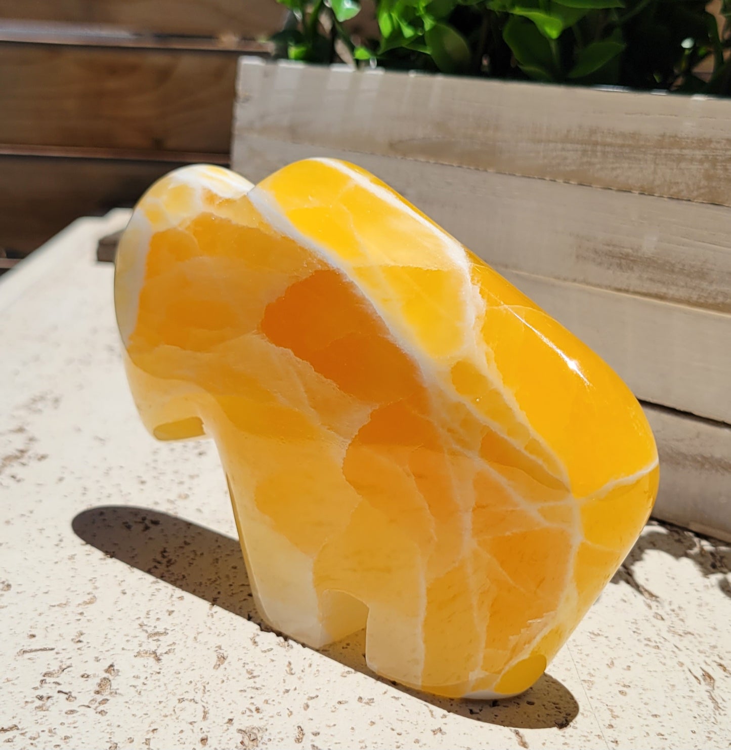 Honeycomb Calcite Buffalo