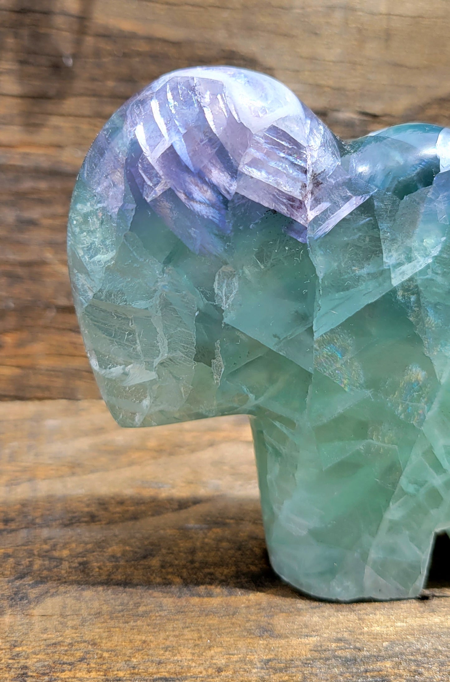 Fluorite Buffalo
