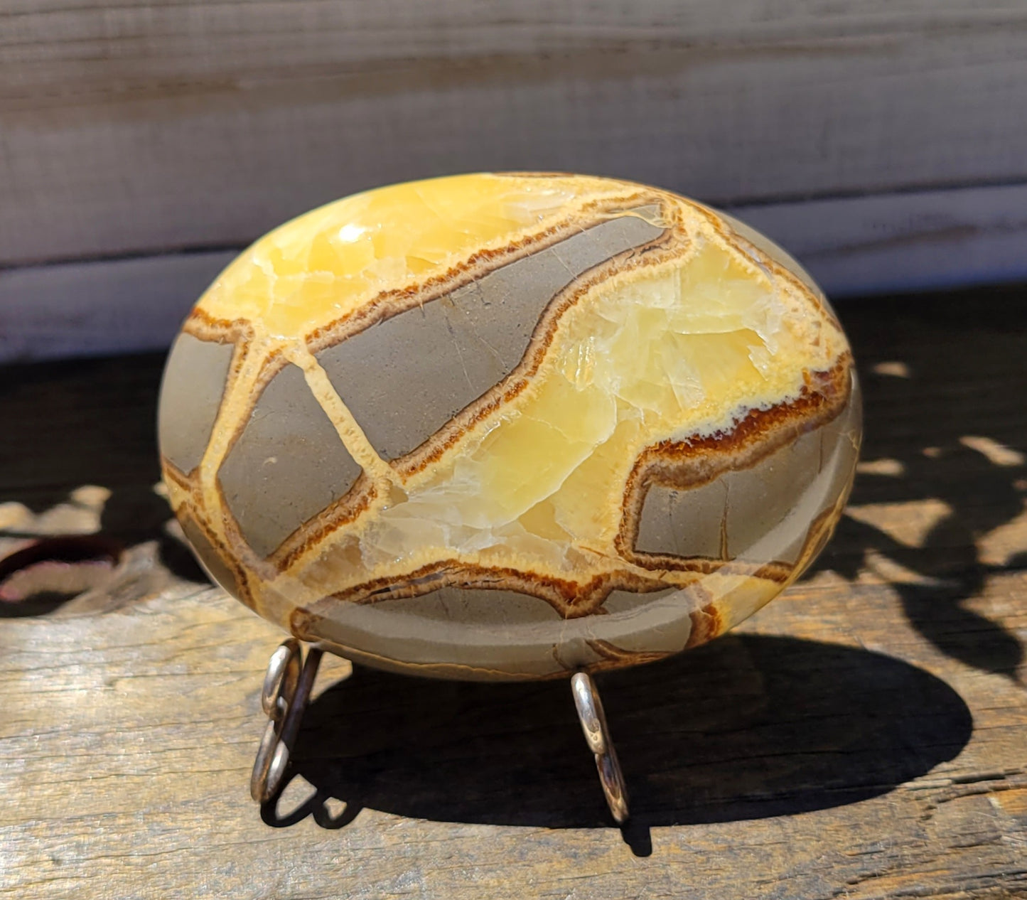 Septarian Palm/Massage Stone