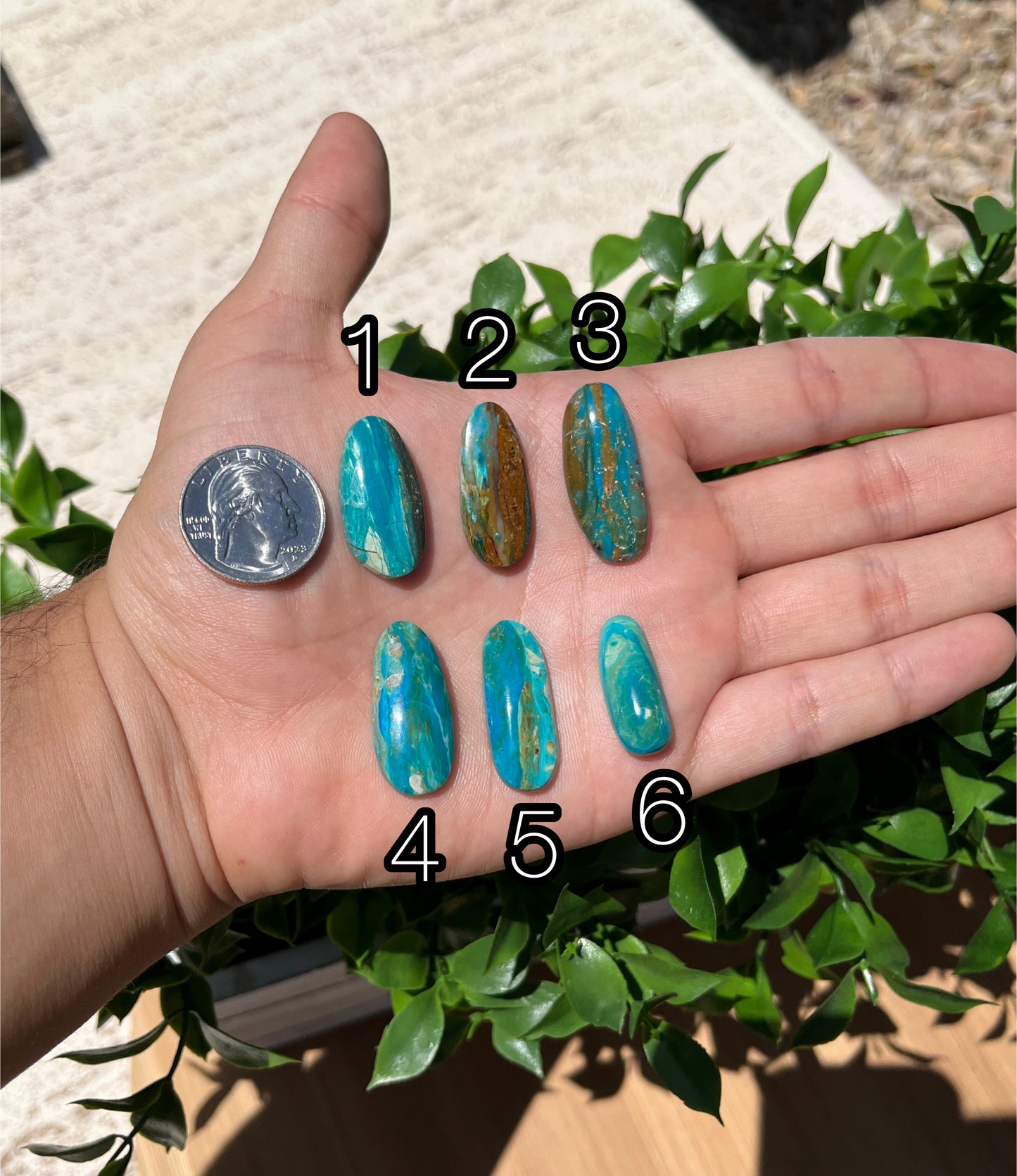 Blue Opal Cabs Page 1