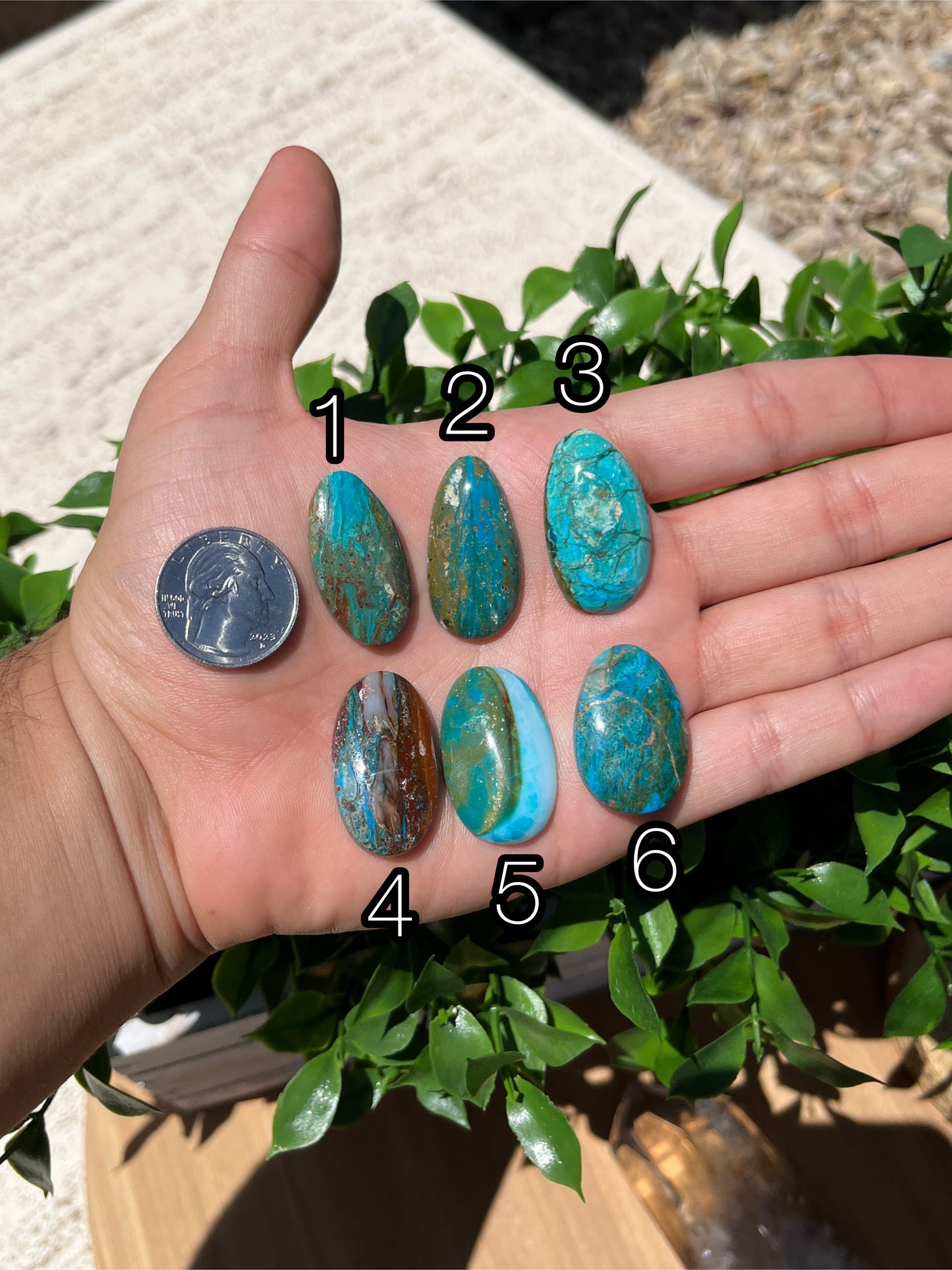 Blue Opal Cabs Page 2
