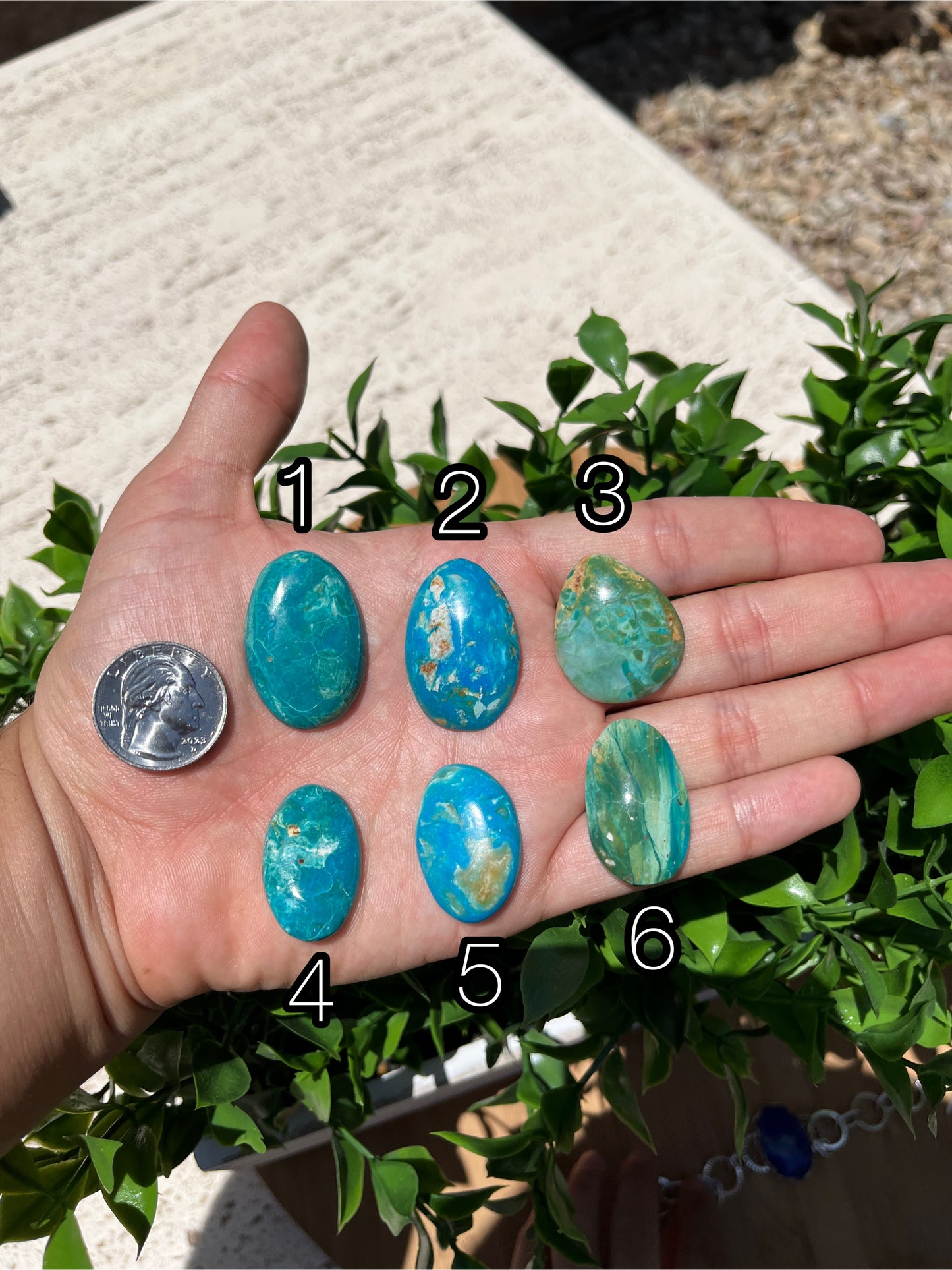 Blue Opal Cabs Page 3