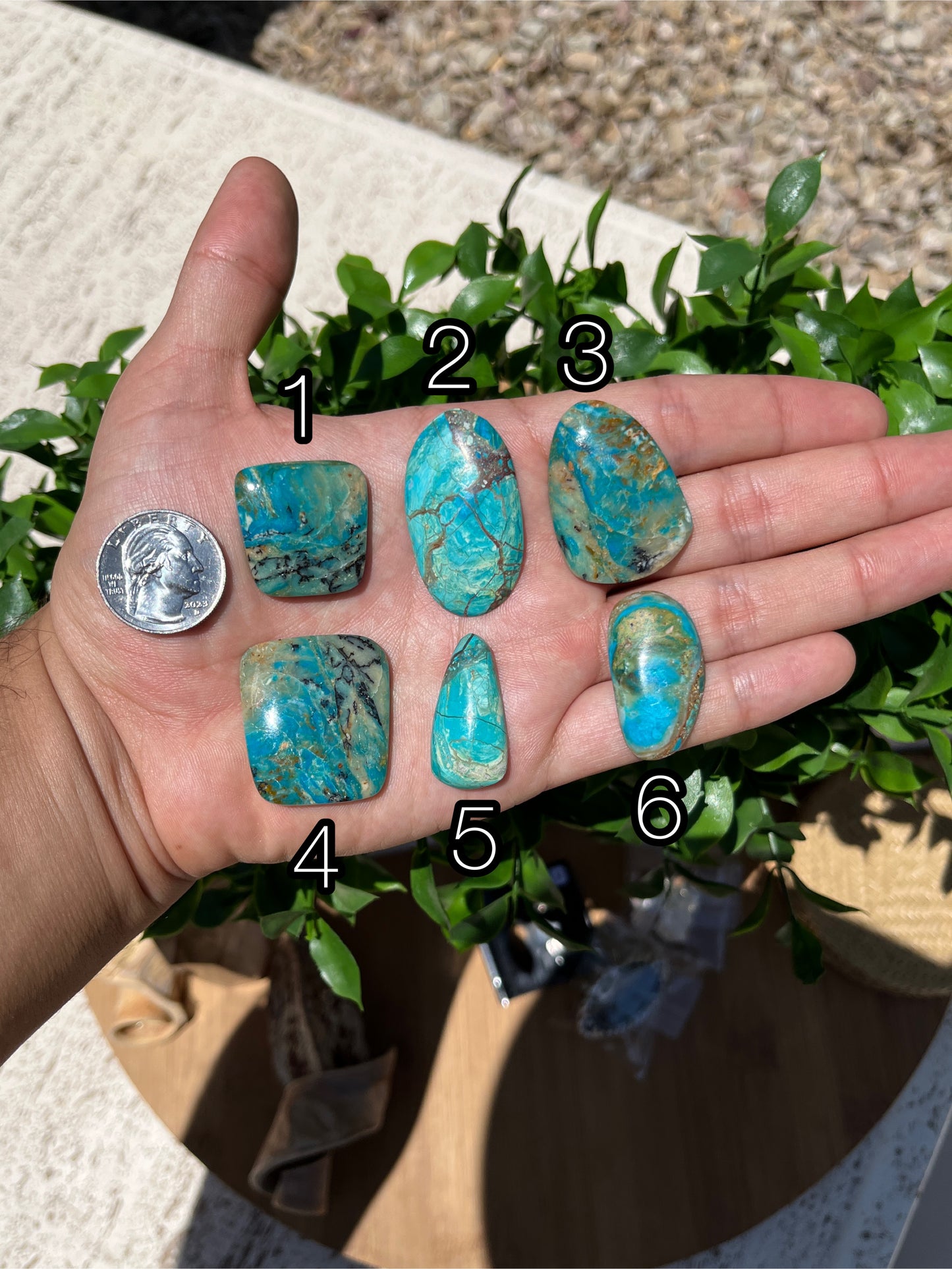 Blue Opal Cabs Page 5