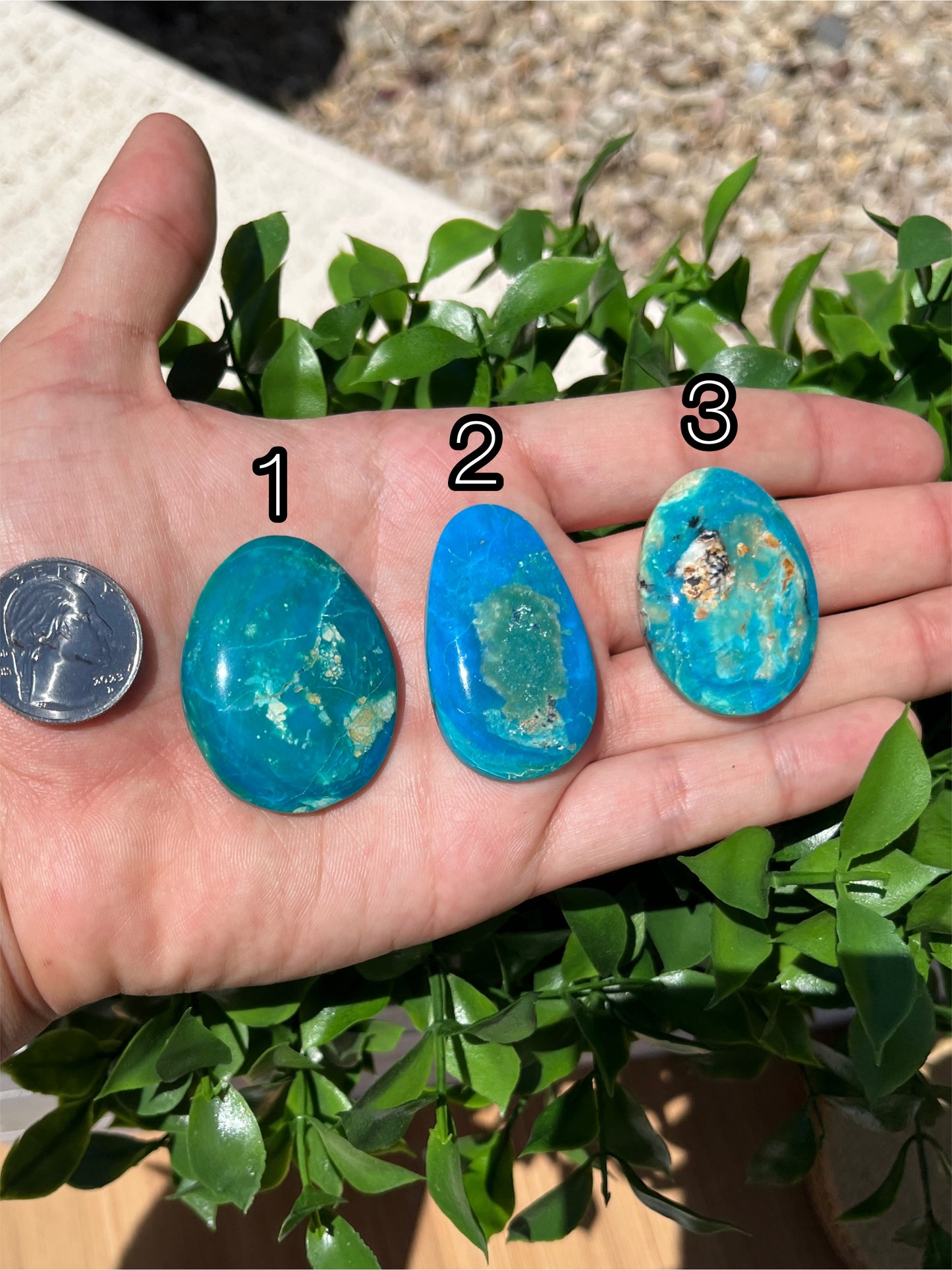 Blue Opal Cabs Page 8