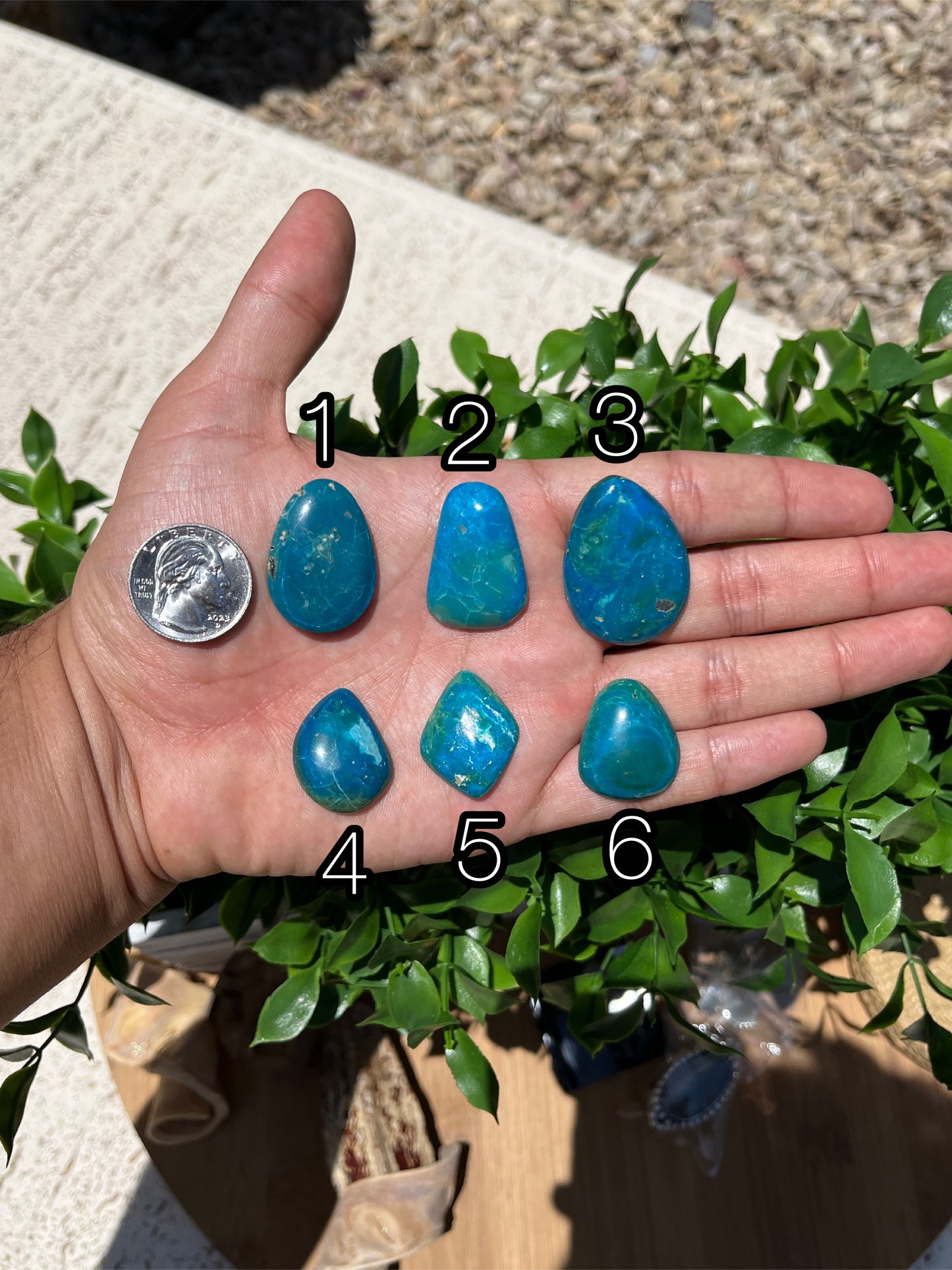 Blue Opal Cabs Page 6
