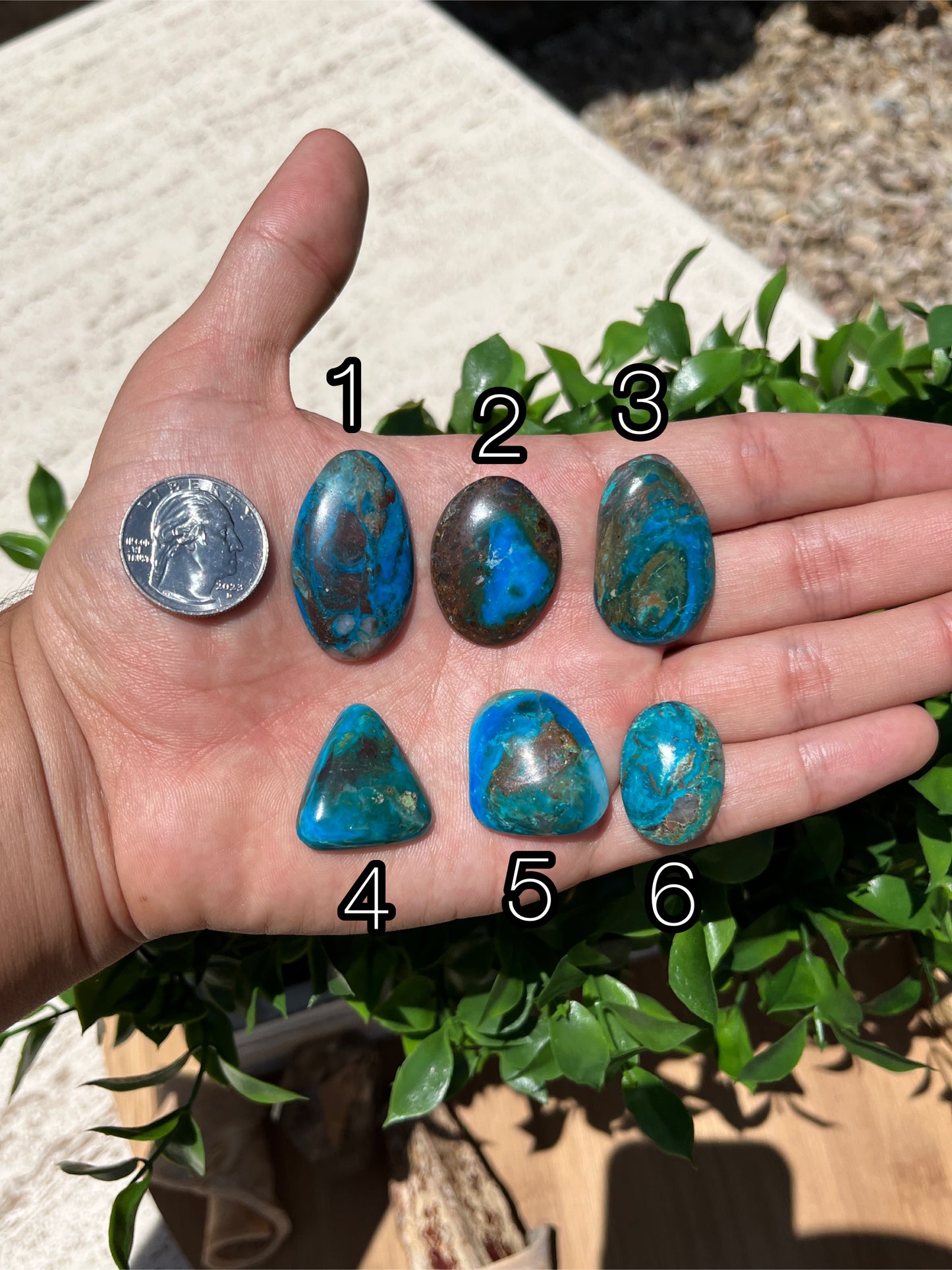 Blue Opal Cabs Page 4
