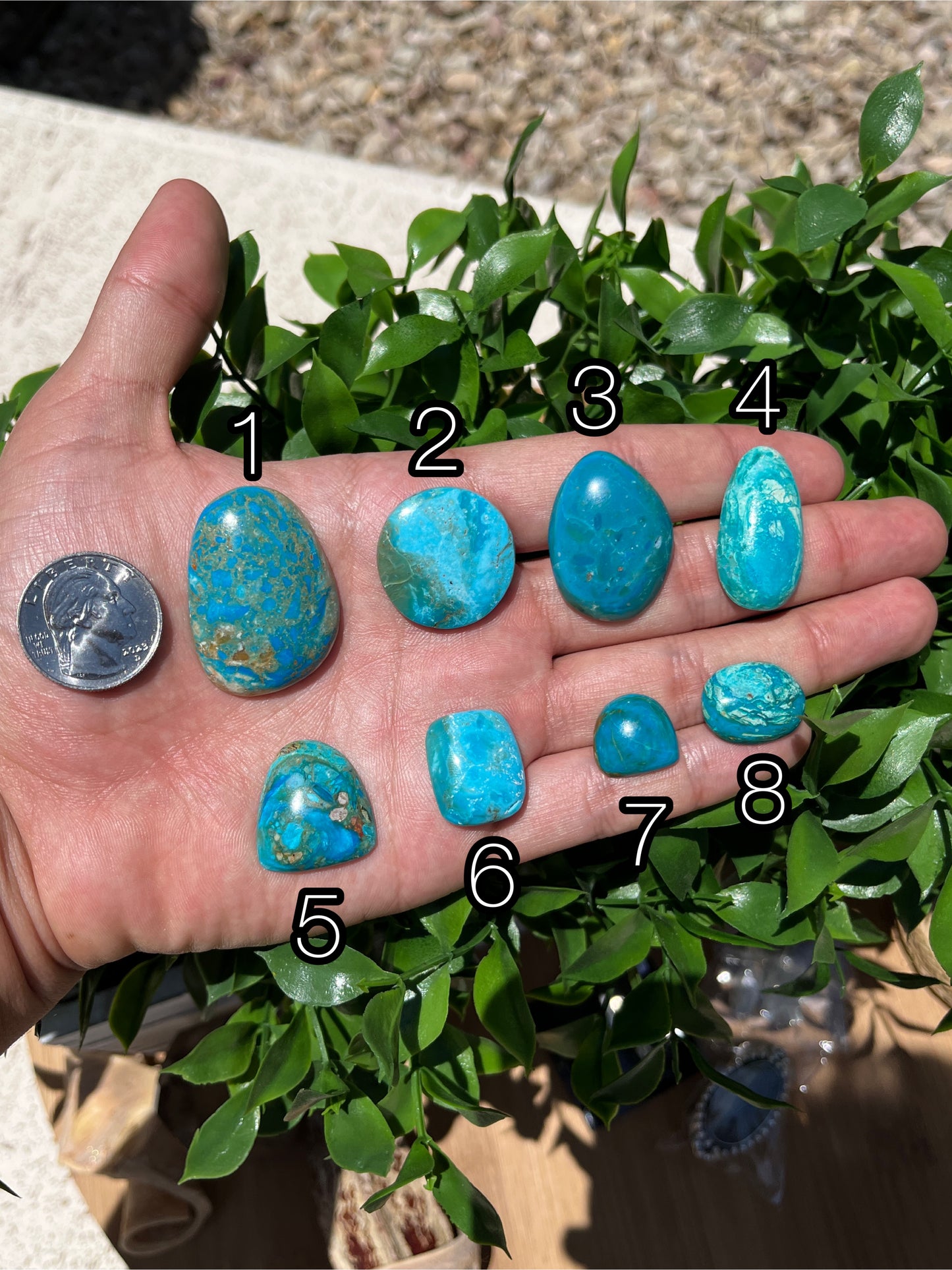 Blue Opal Cabs Page 7